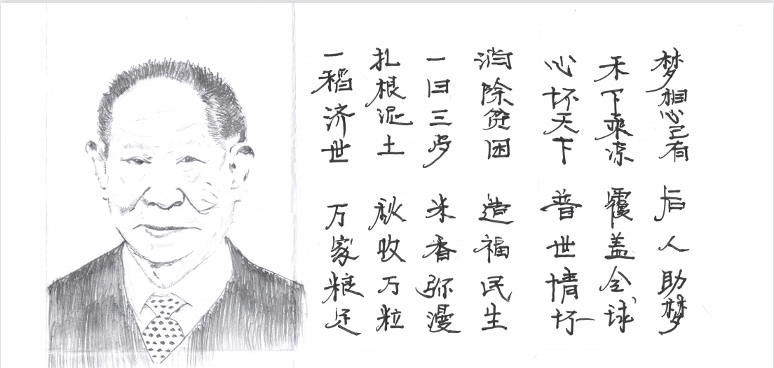 一日三餐，米香彌漫，飽食者當(dāng)常憶袁公 （漫畫）