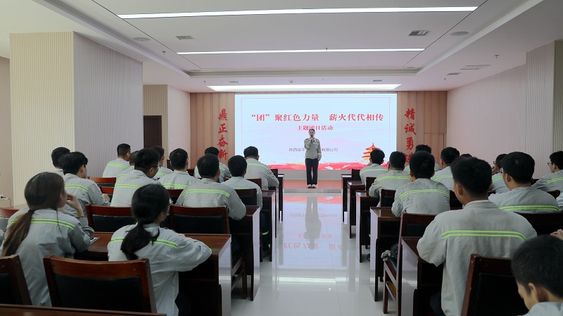 共話青春 寄語(yǔ)未來(lái)——富平公司開展“‘團(tuán)’聚紅色力量 薪火代代相傳”主題團(tuán)日活動(dòng)