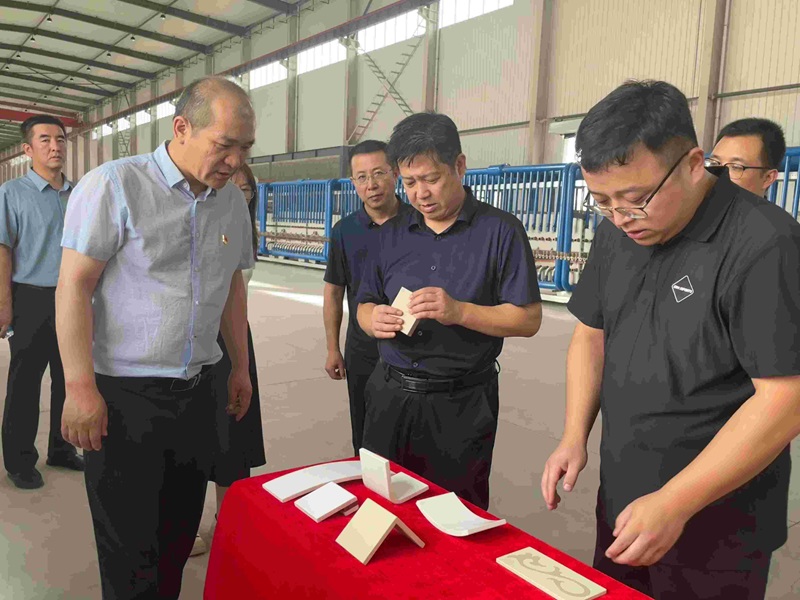孟勛濤一行到龍門綠碳公司調(diào)研指導工作