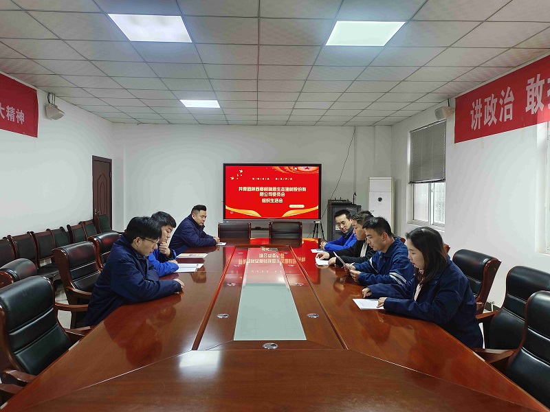 賽柯瑞思公司團(tuán)支部召開2024年度組織生活會